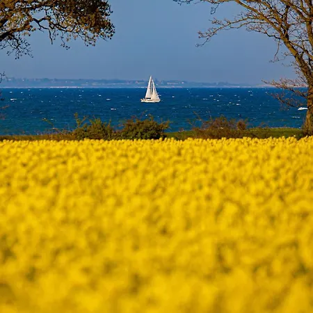 Rooftop Garden 8 Im Ostseeresort Apartament Olpenitz